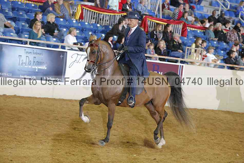 Proof 14usn_04740