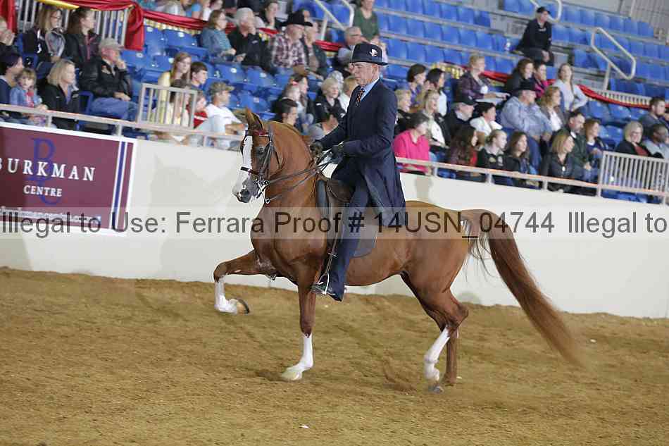 Proof 14usn_04744