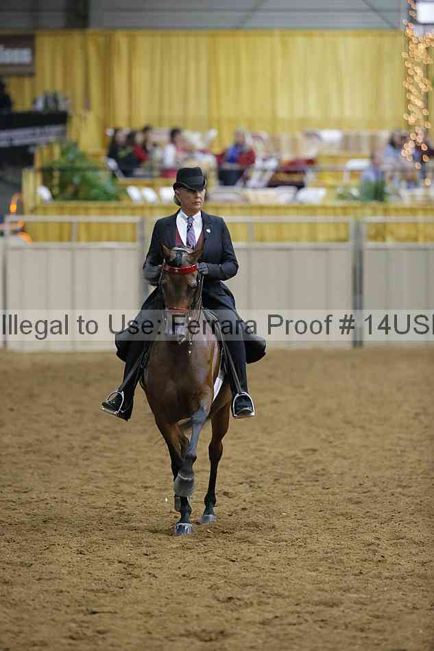 Proof 14usn_04751