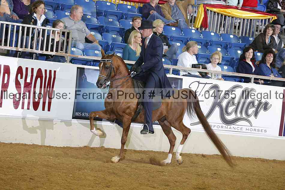 Proof 14usn_04755