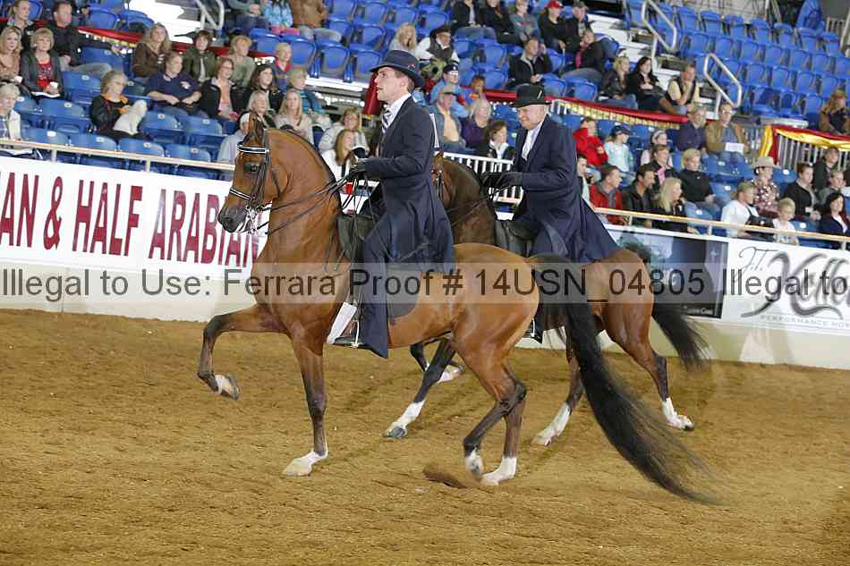 Proof 14usn_04805