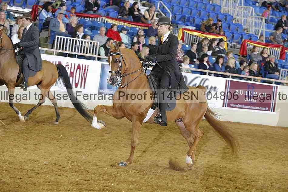 Proof 14usn_04806