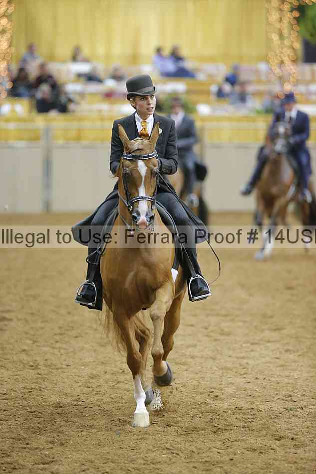 Proof 14usn_04813