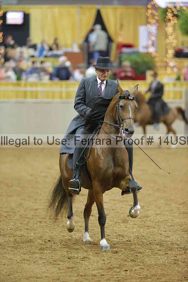 Proof 14usn_04821