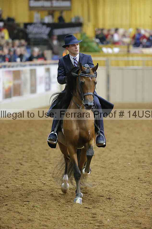 Proof 14usn_04835