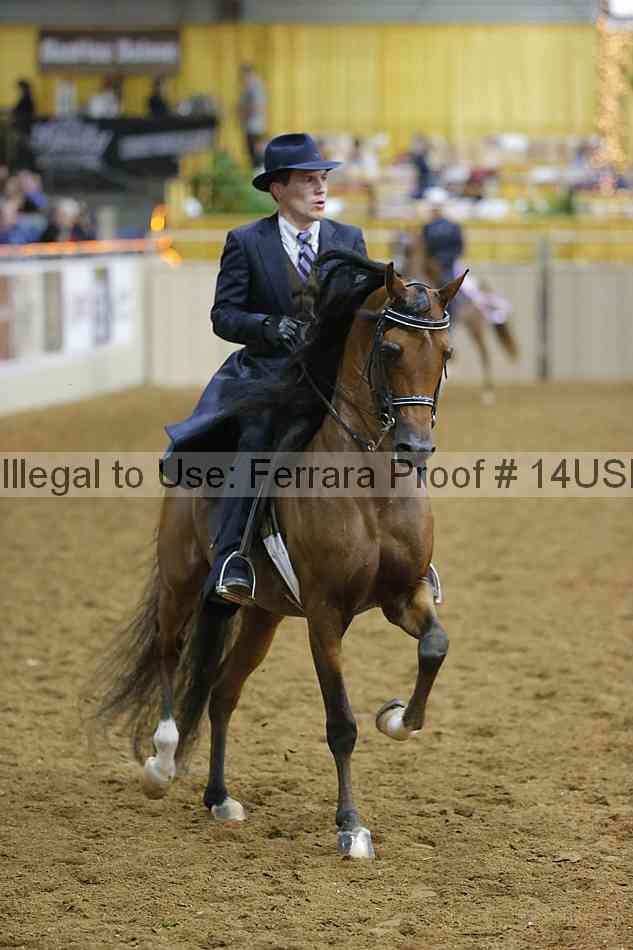 Proof 14usn_04847