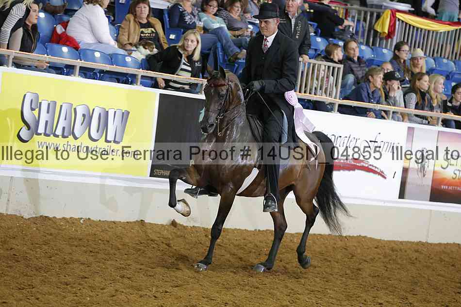 Proof 14usn_04855