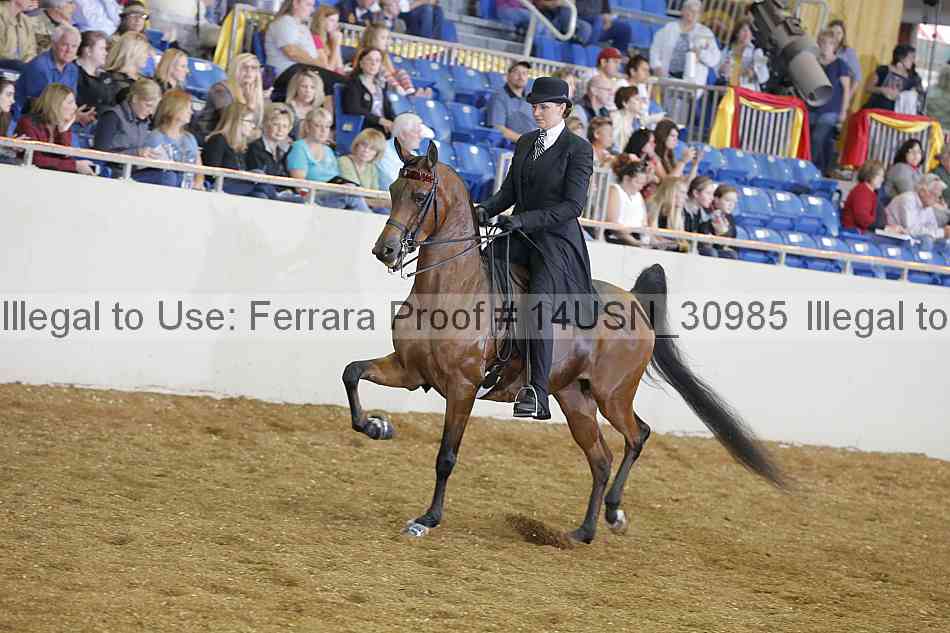 Proof 14usn_30985