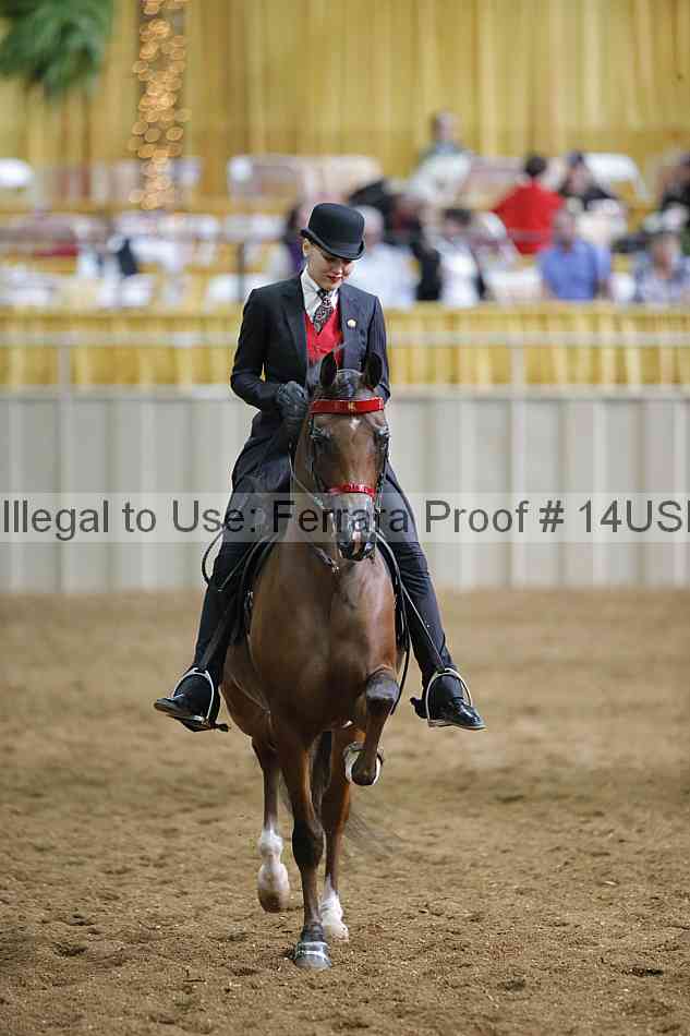 Proof 14usn_30987