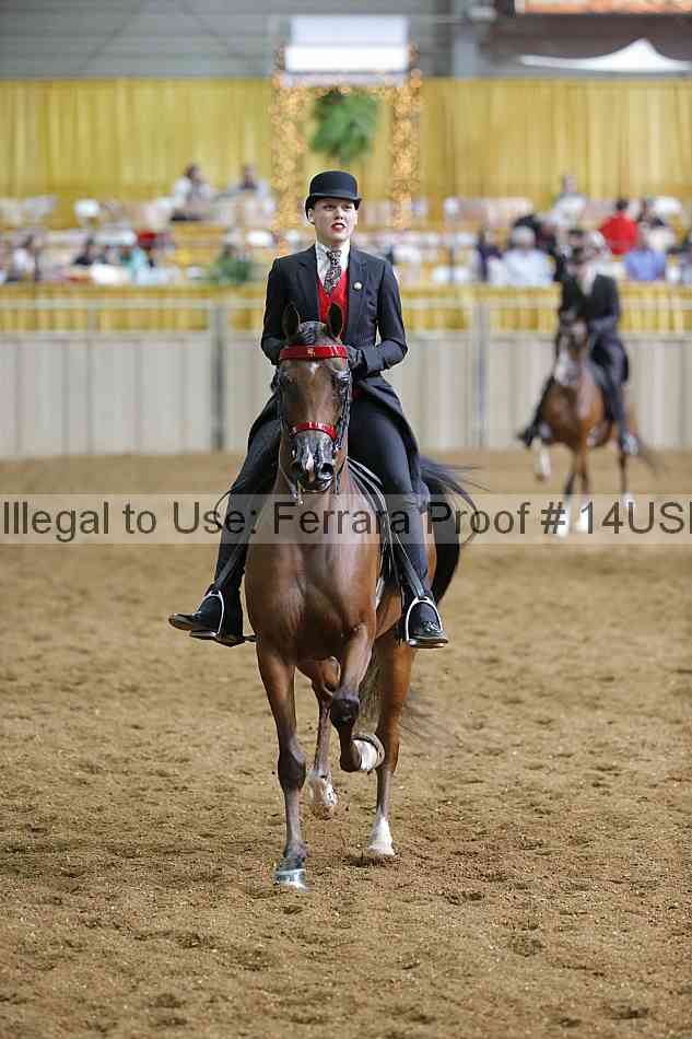Proof 14usn_30988