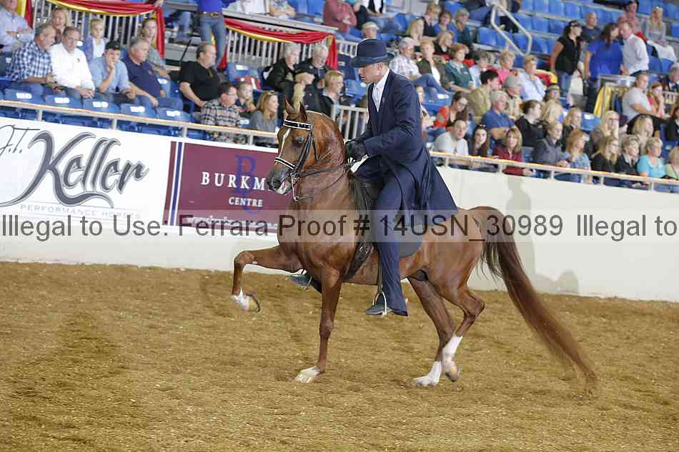Proof 14usn_30989