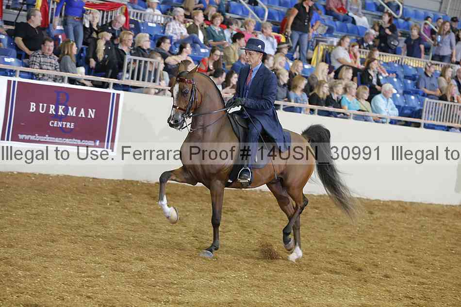 Proof 14usn_30991