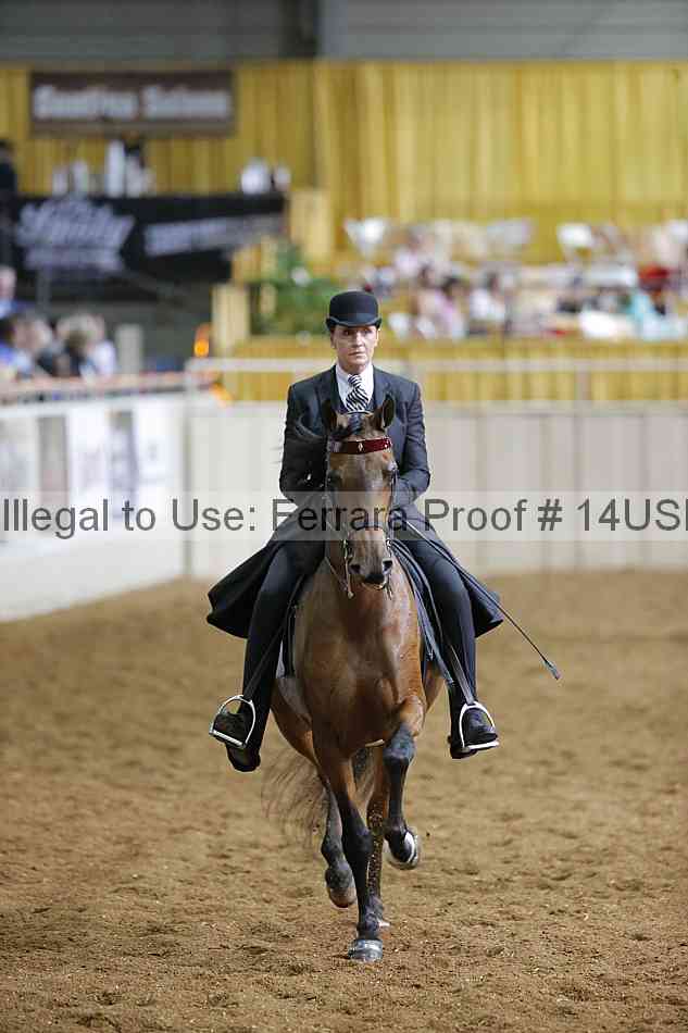 Proof 14usn_30996
