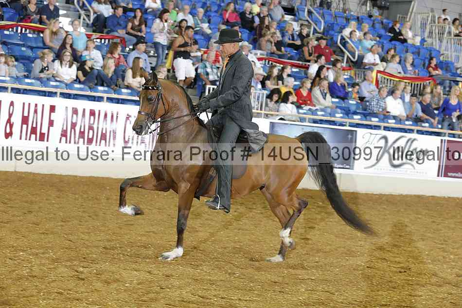 Proof 14usn_30997