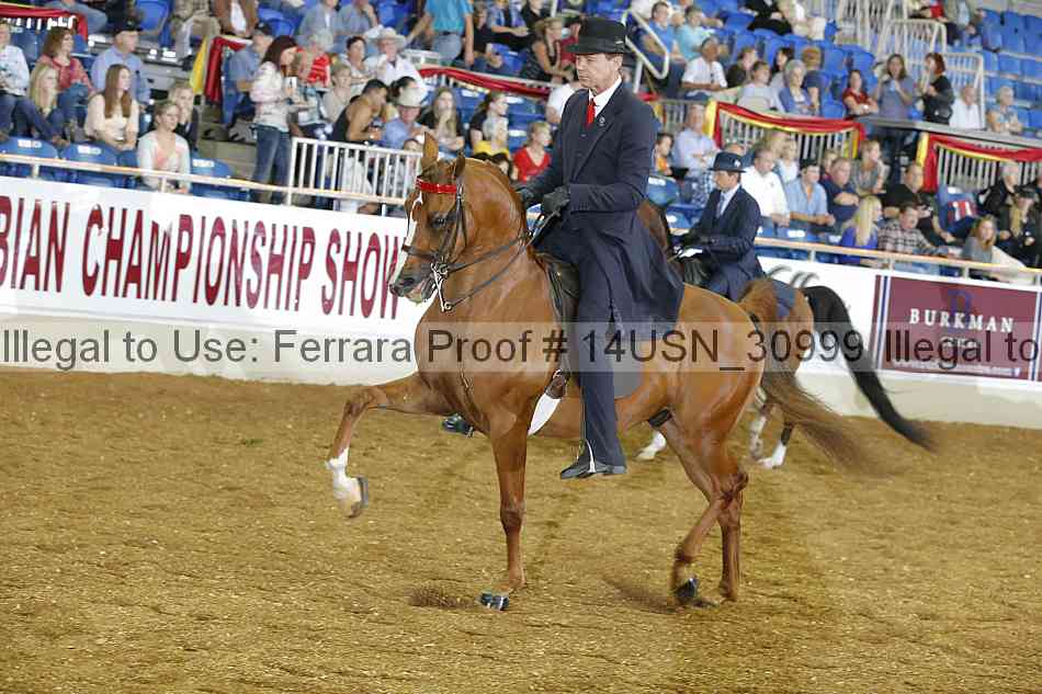 Proof 14usn_30999