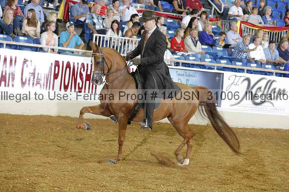 Proof 14usn_31006