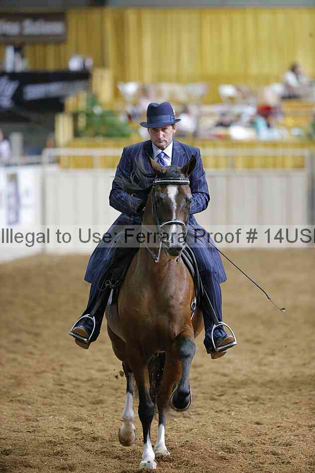 Proof 14usn_31007