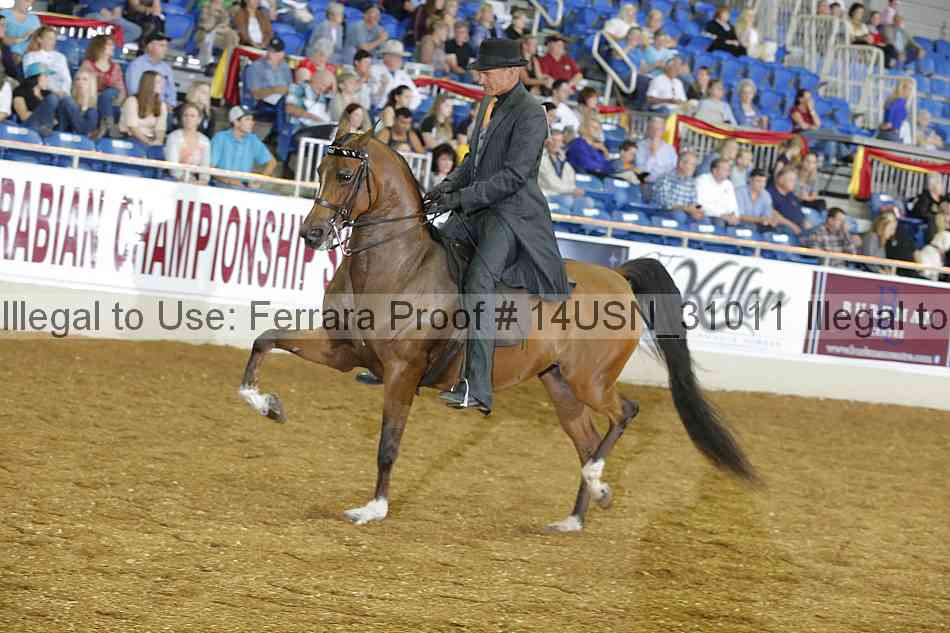 Proof 14usn_31011