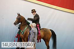 14usn_31040 proof