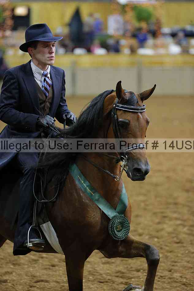 Proof 14usn_31073