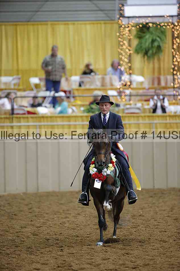 Proof 14usn_31090