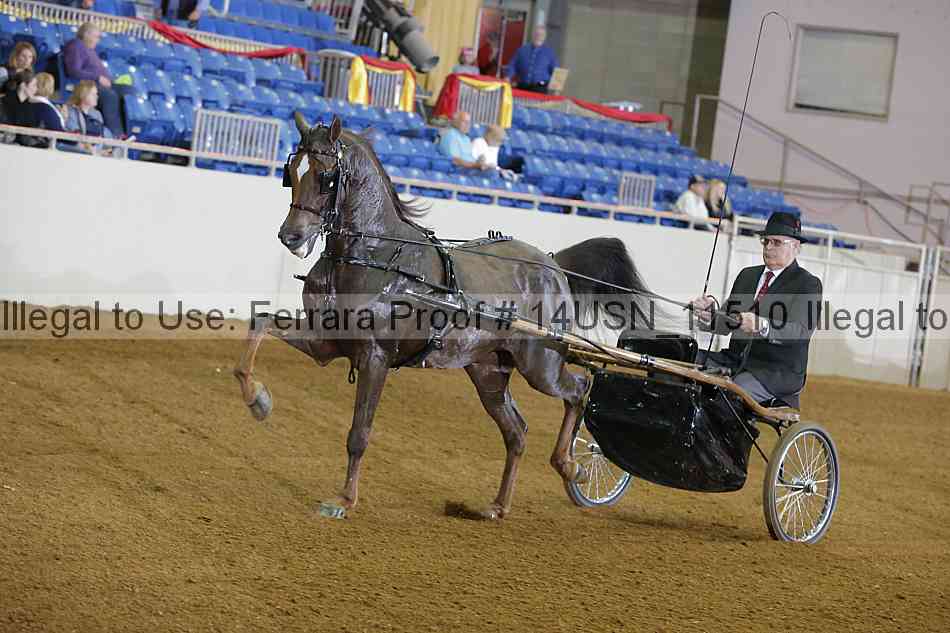Proof 14usn_11510