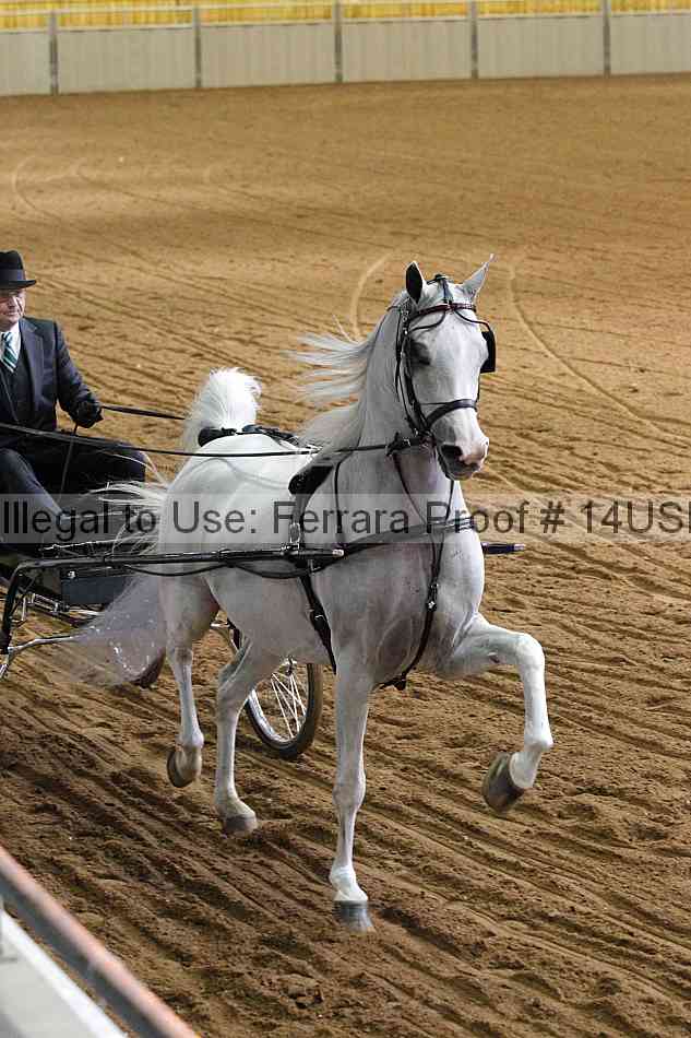 Proof 14usn_11549