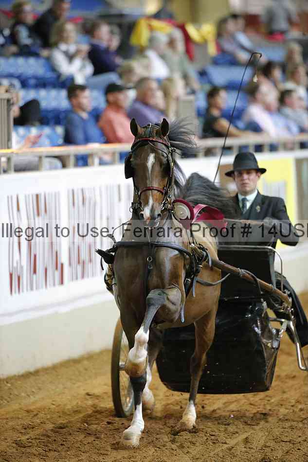 Proof 14usn_11555