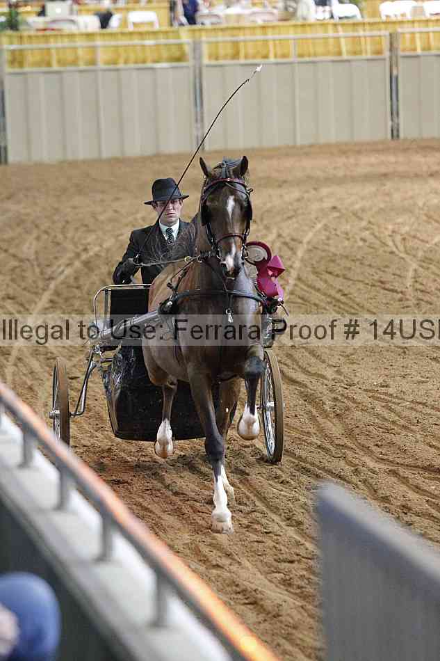 Proof 14usn_11559