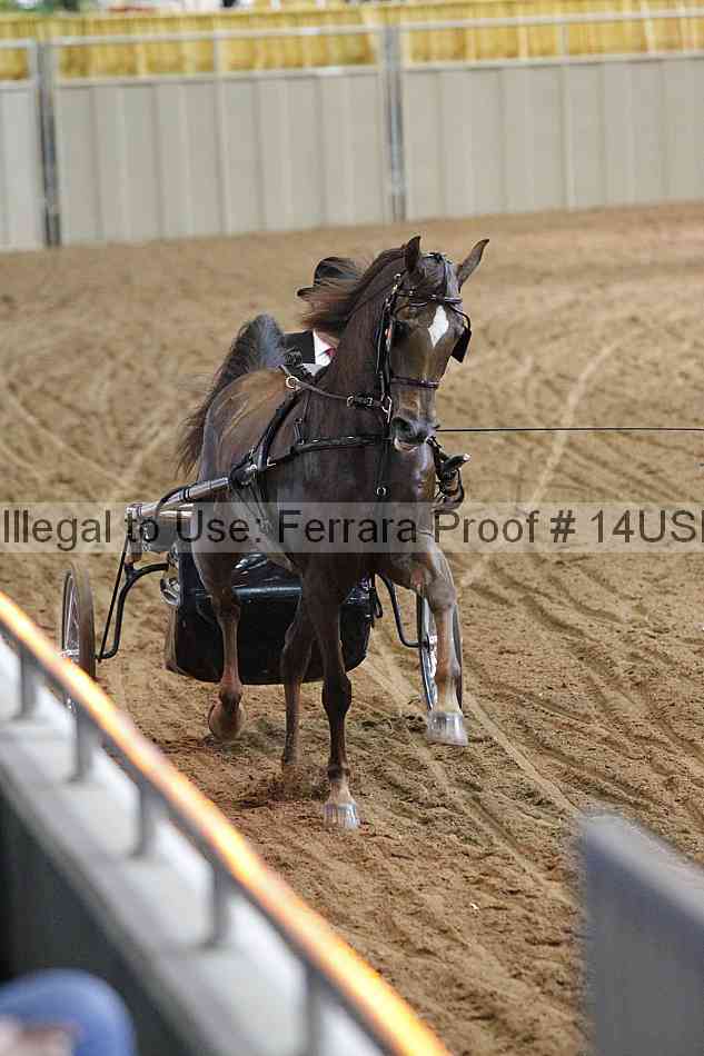 Proof 14usn_11562