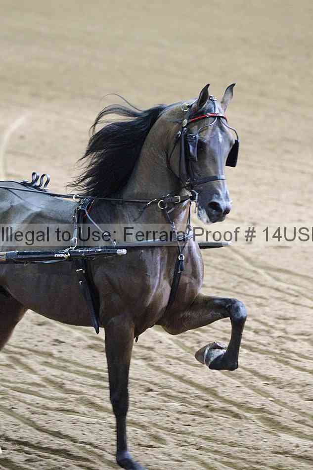 Proof 14usn_11574