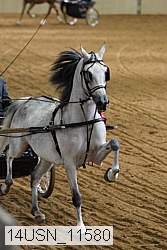 14usn_11580 proof