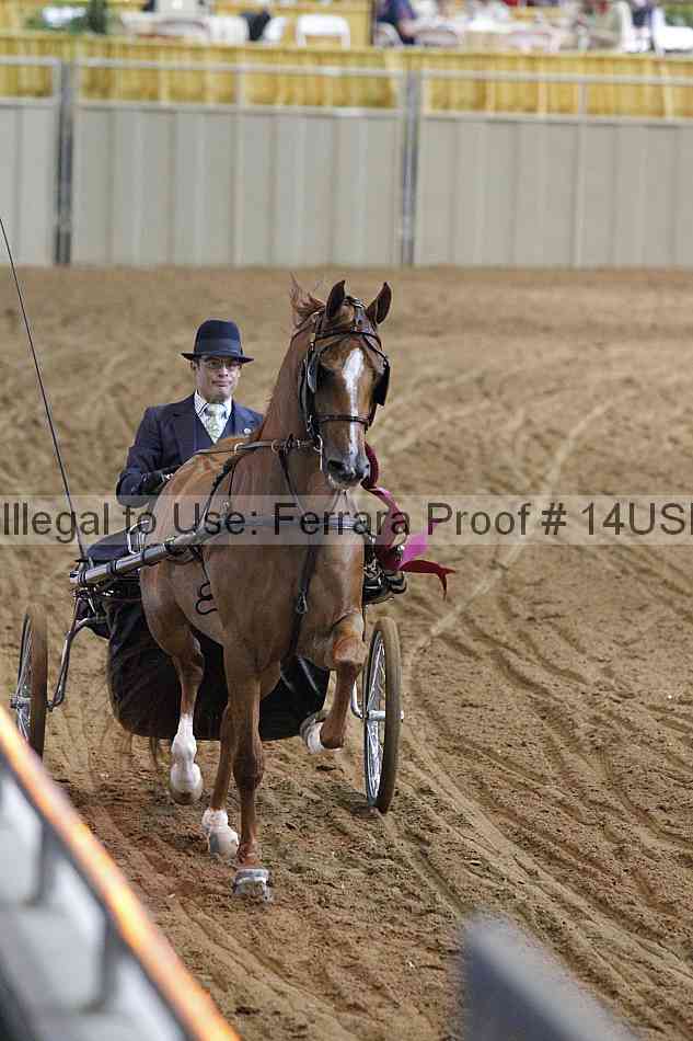 Proof 14usn_11584