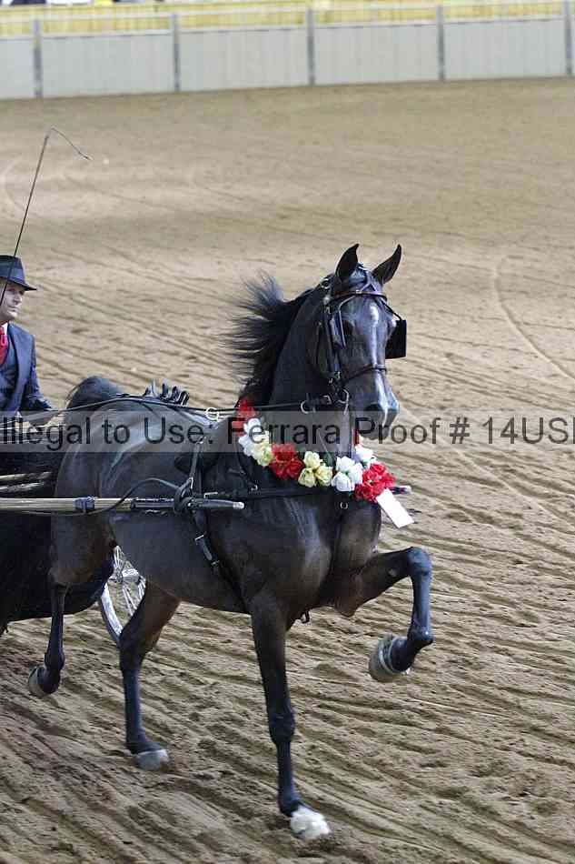 Proof 14usn_11593