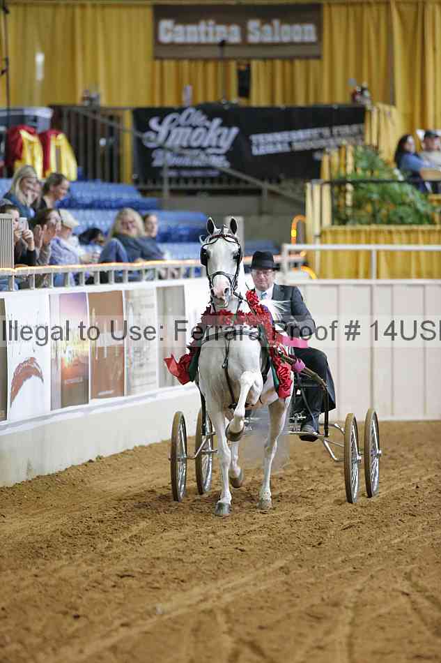 Proof 14usn_11595