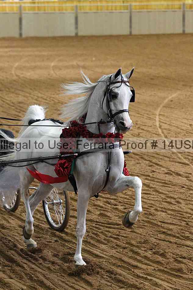 Proof 14usn_11608