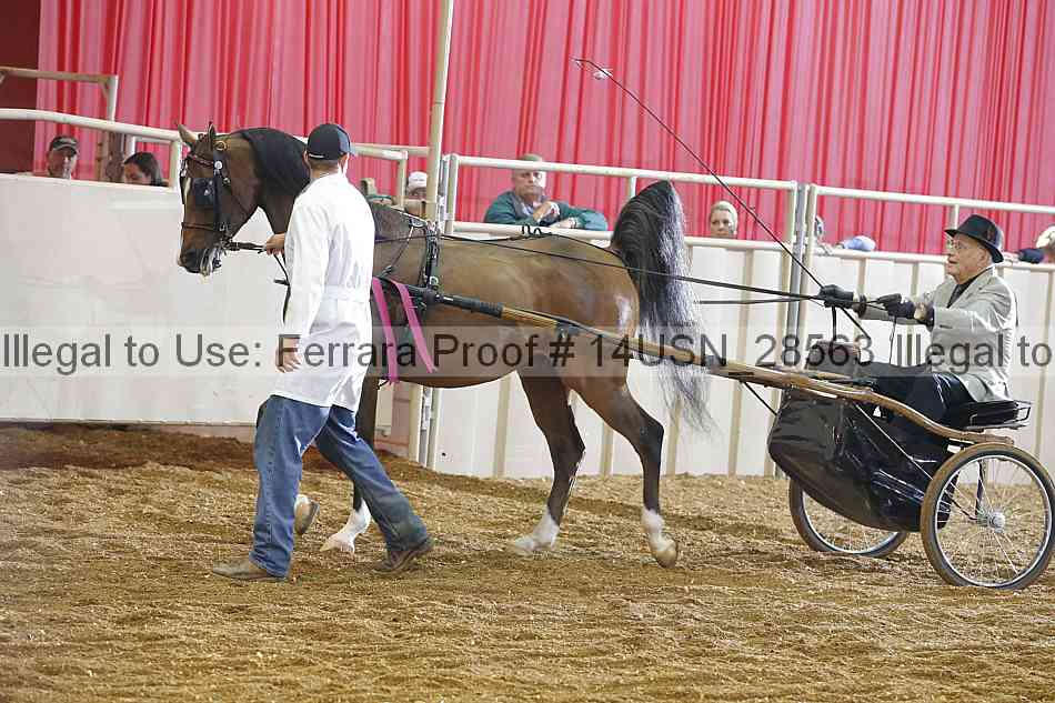 Proof 14usn_28563