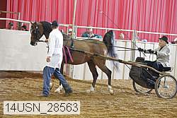14usn_28563 proof