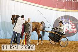 14usn_28566 proof