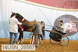 14usn_28567 proof