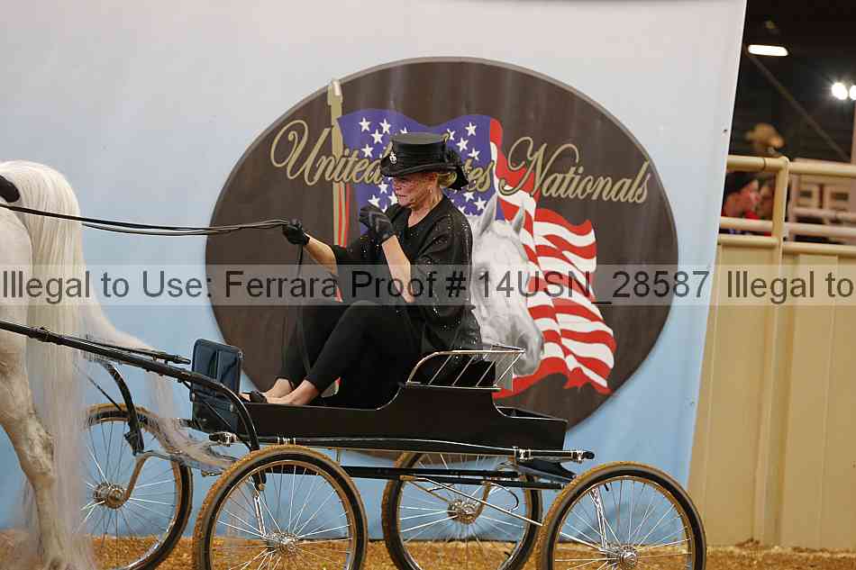 Proof 14usn_28587