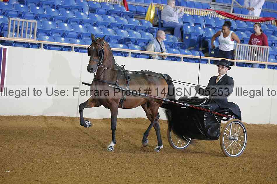 Proof 14usn_05253