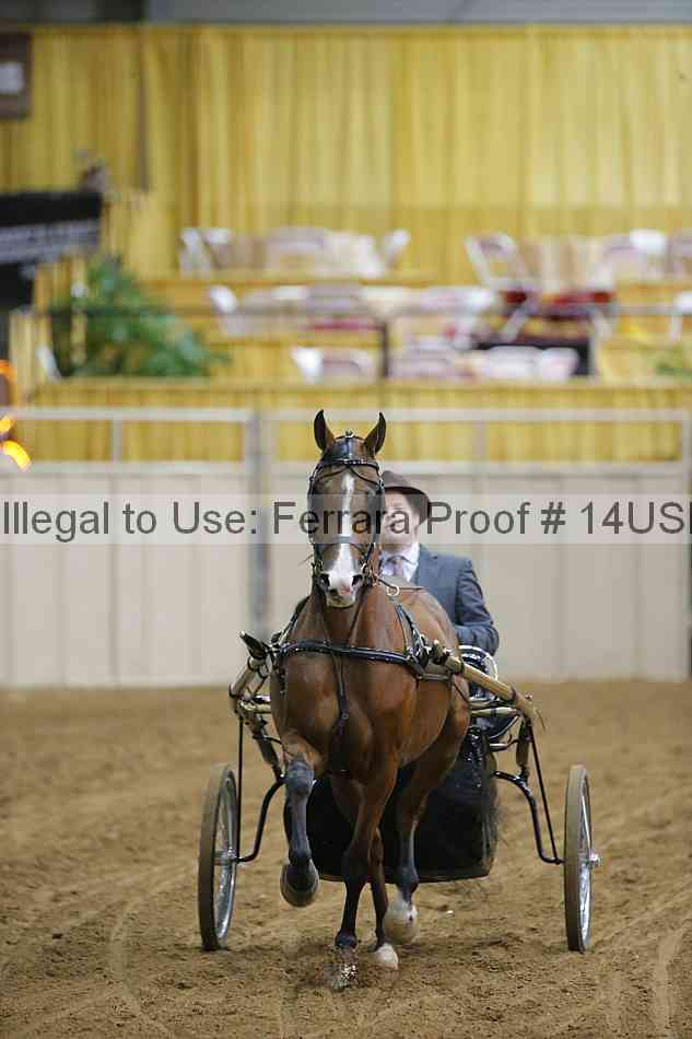 Proof 14usn_05295