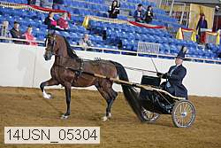 14usn_05304 proof