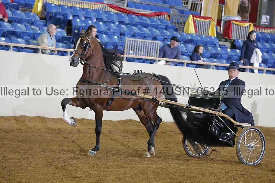 Proof 14usn_05315