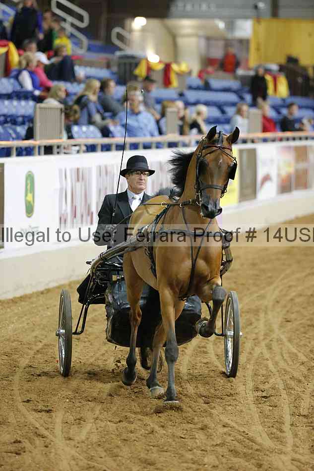 Proof 14usn_05338