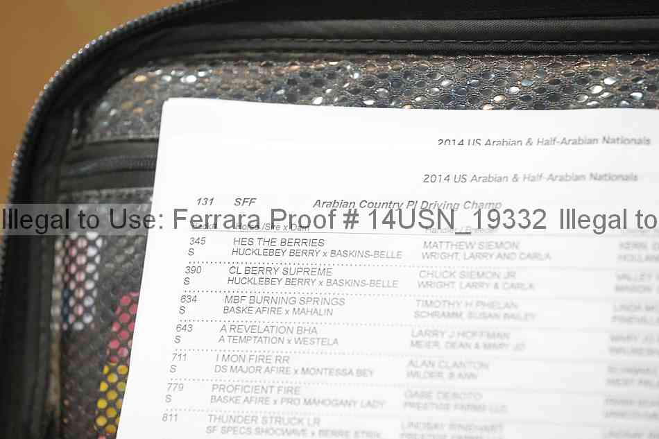 Proof 14usn_19332