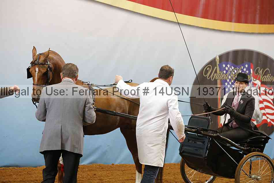 Proof 14usn_19371