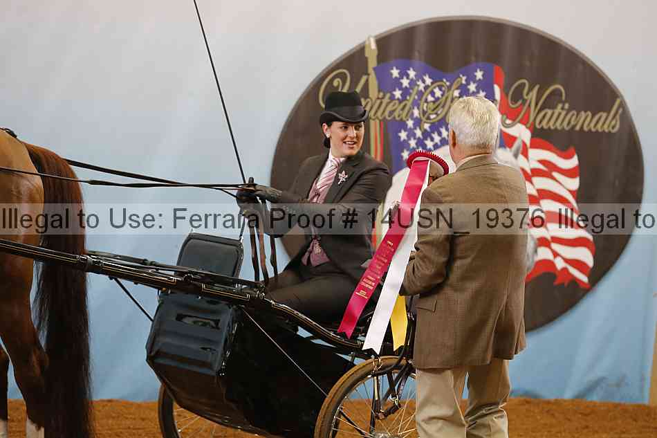 Proof 14usn_19376