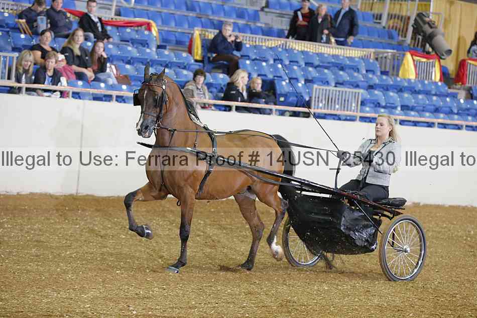 Proof 14usn_25430